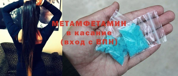 прущие грибы Магадан