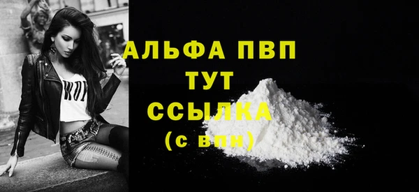 прущие грибы Магадан