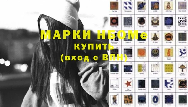 прущие грибы Магадан