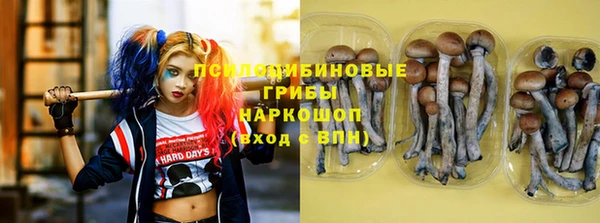 apvp Лихославль