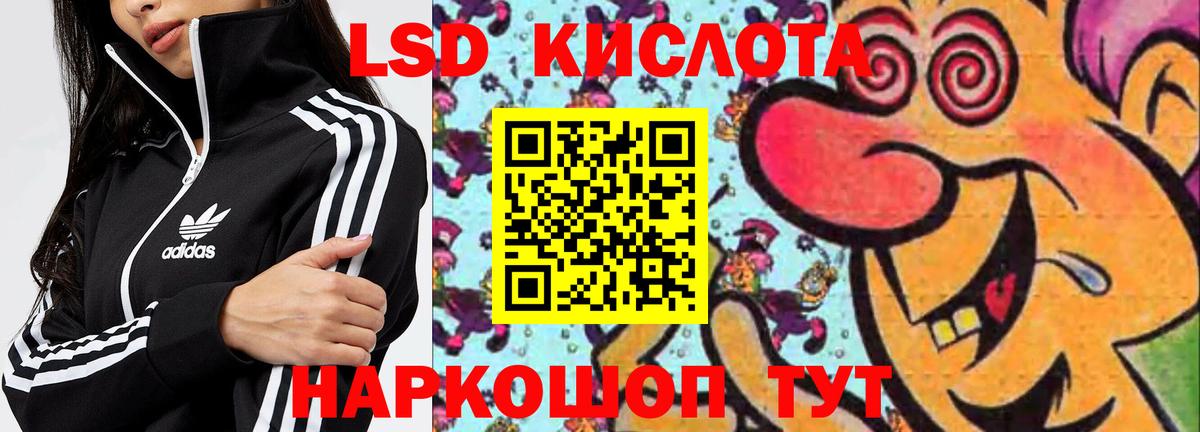 LSD-25 экстази кислота  Вход с VPN  LSD-25 экстази  Назрань  LSD-25 экстази кислота 