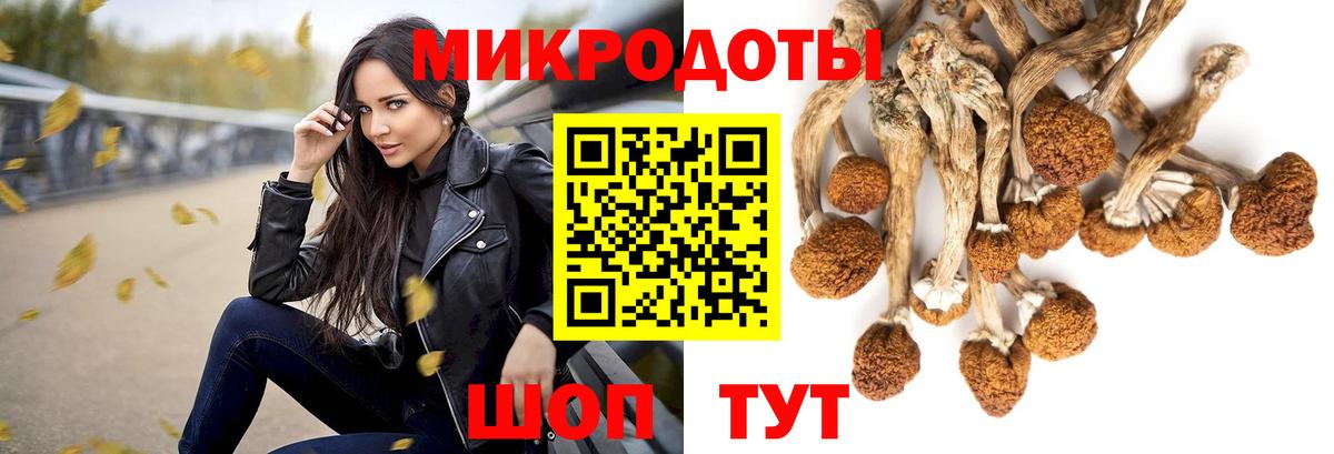 Назрань  Галлюциногенные грибы Psilocybine cubensis  Псилоцибиновые грибы Cubensis  Вход с VPN 