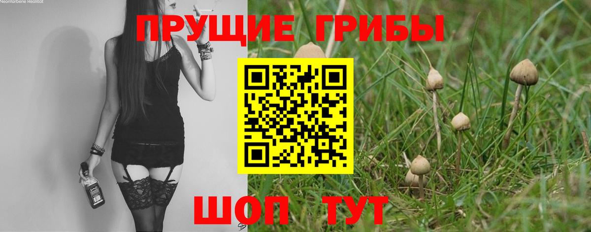 Псилоцибиновые грибы ЛСД Назрань