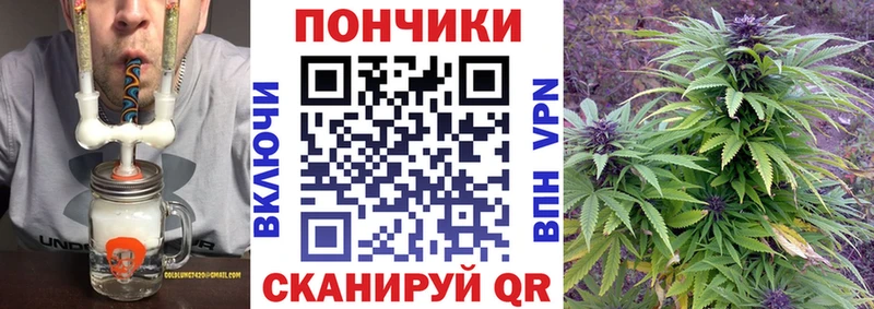 Бошки Шишки Amnesia Назрань